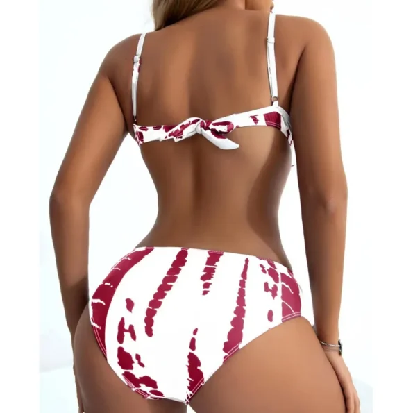 Sexy-Underwire-Bikinis-2024-Women-s-Swimwear-Push-Up-Female-Swimsuit-Swimming-Bathing-Suits-Girls-Brazilian-3